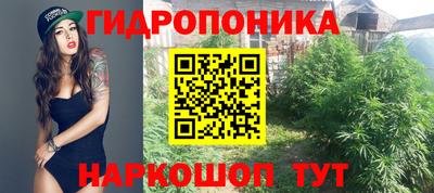 прущий лед Гагарин
