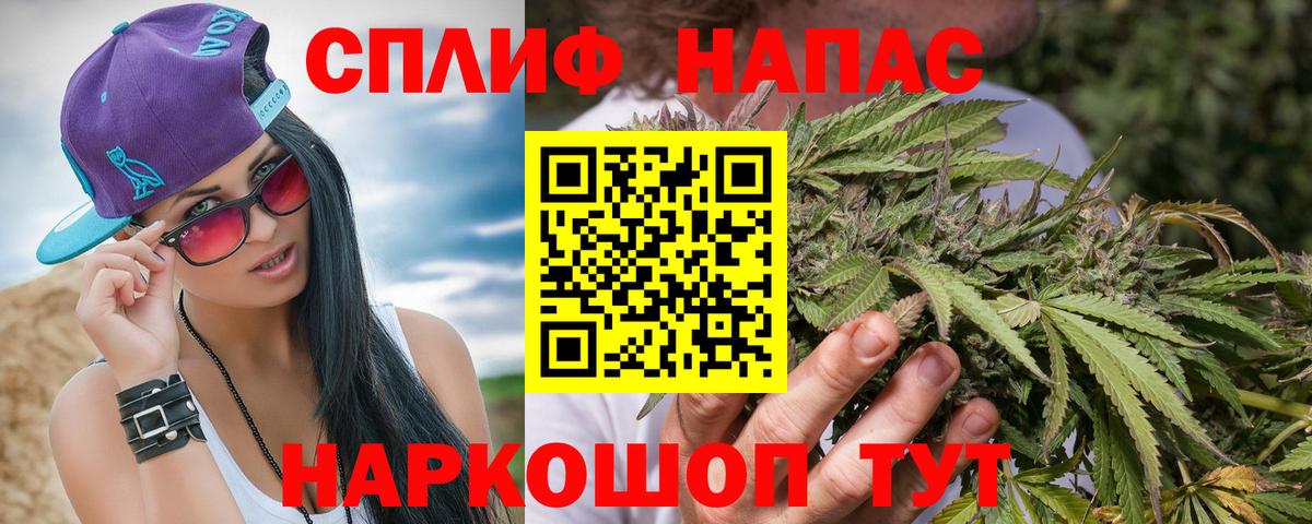 Шишки марихуана планчик Евпатория